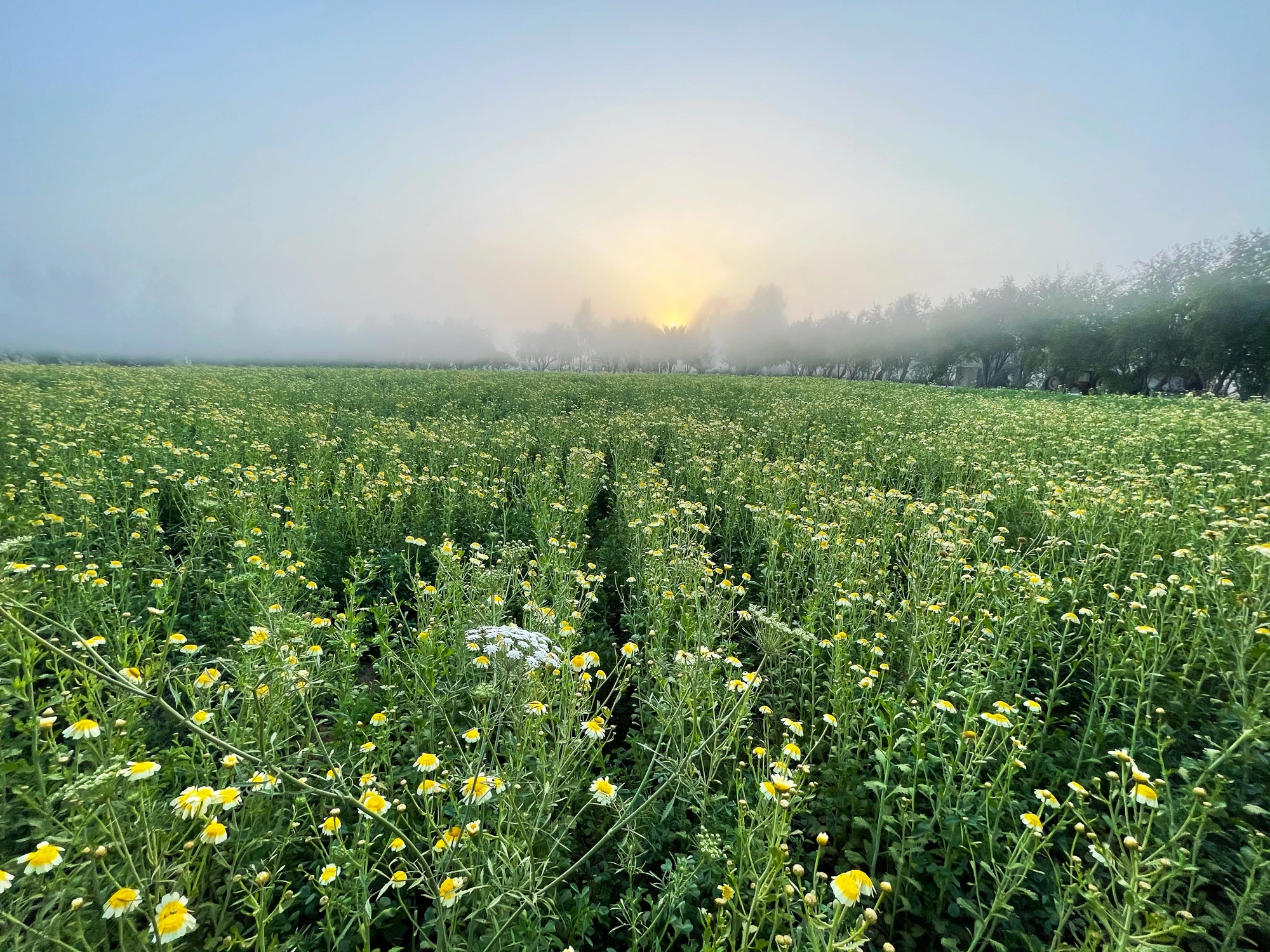 Nature Slider 3