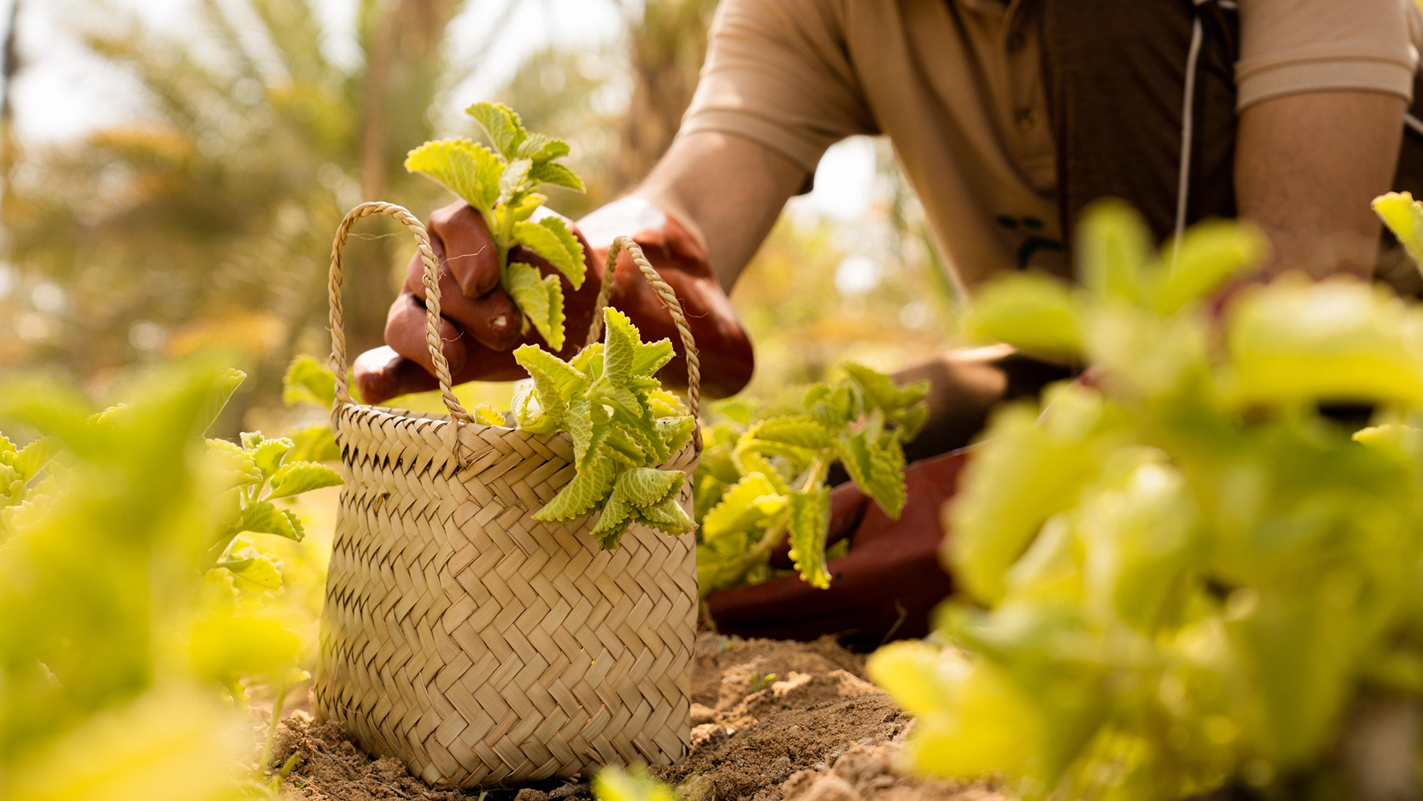 Sub Image 1